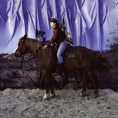 Holy Motors Horse - LTD (LP)