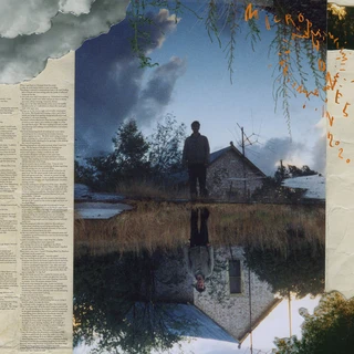 The Microphones Microphones In 2020 (2LP)