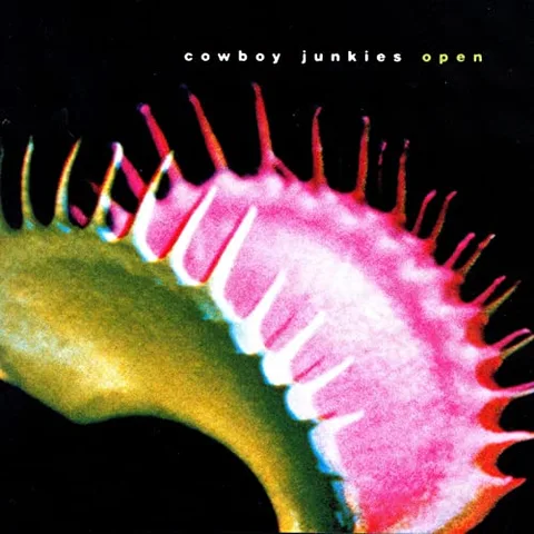 Cowboy Junkies Open - LTD (LP) 