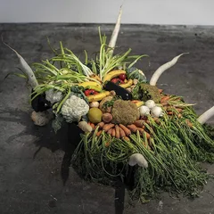 Jesse Osborne-Lanthier Left My Brain @ Can Paixano… (LP)