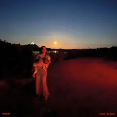 Wow Rosa Di Luce (LP)