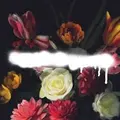 Grande Roses Built On Schemes (LP)