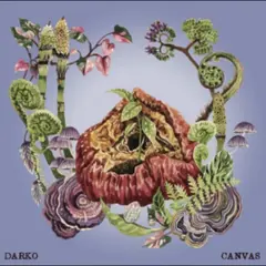 Darko Canvas - LTD (LP)