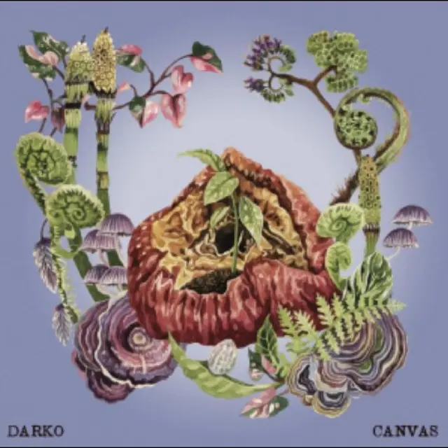 Darko Canvas - LTD (LP) 