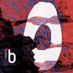 Kluster B B - LTD (LP)