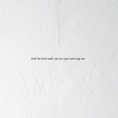Prairie And The Bird Said… - LTD (LP)