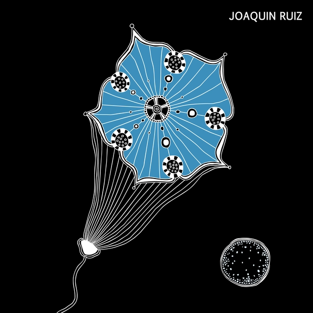 Joaquin Ruiz Voices Of Space (2LP) 