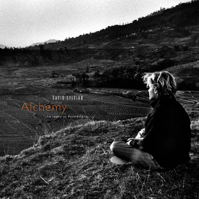 David Sylvian Alchemy: An Index Of… - LTD (LP) 