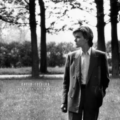 David Sylvian Brilliant Trees - LTD (LP)