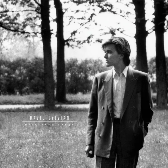 David Sylvian Brilliant Trees - LTD (LP) 