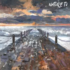Nature TV Unlucky For Some - LTD (LP)