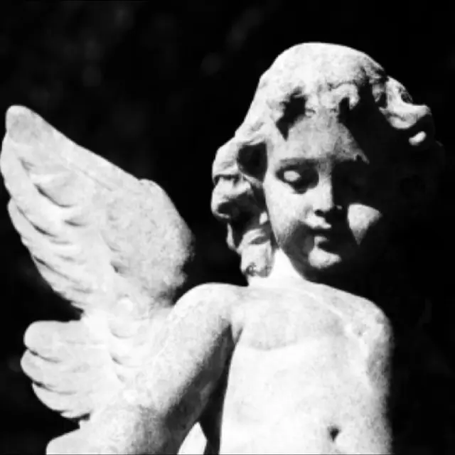 Cold Cave Passion Depression - LTD (LP) 
