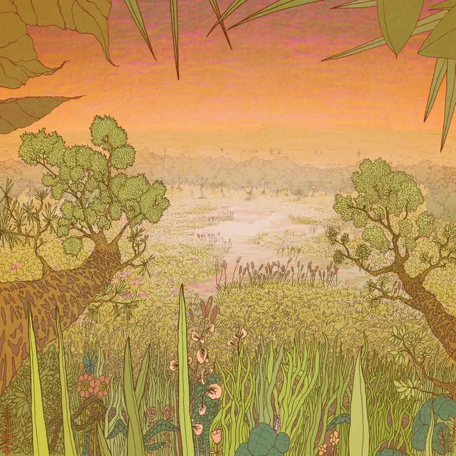 Pine Barons Mirage On The Meadow (2LP) 