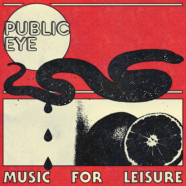 Public Eye Music For Leisure (LP) 
