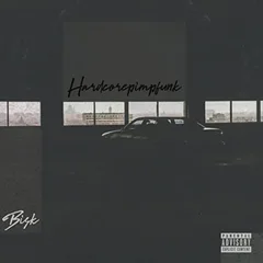 Bisk Hardcorepimpfunk (LP)