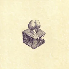 Kiran Leonard Western Culture (LP)