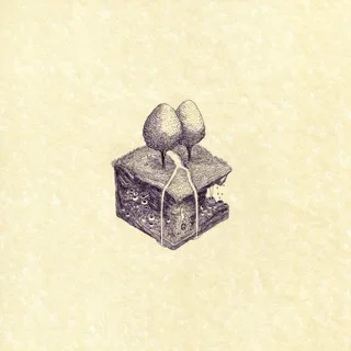 Kiran Leonard Western Culture (LP)