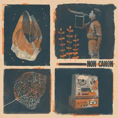 Non Canon Non Canon (LP)