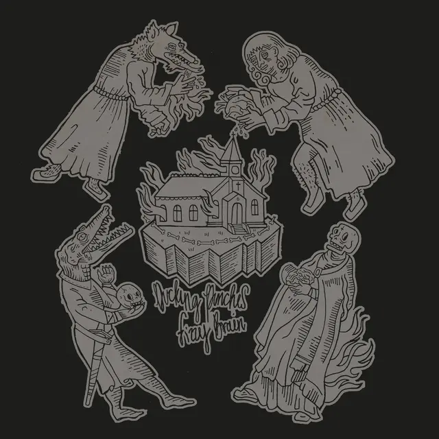 Ducking Punches Fizzy Brain (LP) 