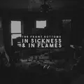 The Front Bottoms In Sickness &amp; In Flames - LTD (LP)