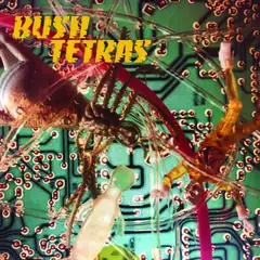 Bush Tetras There Is A Hum (7")