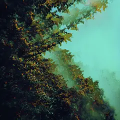 Polymoon Caterpillars Of Creation (LP)