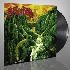 Carnation Where Death Lies (LP)