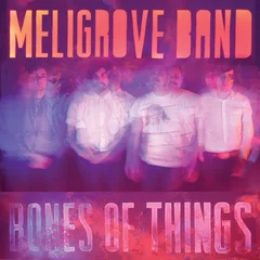 Meligrove Band Bones Of Things (LP)