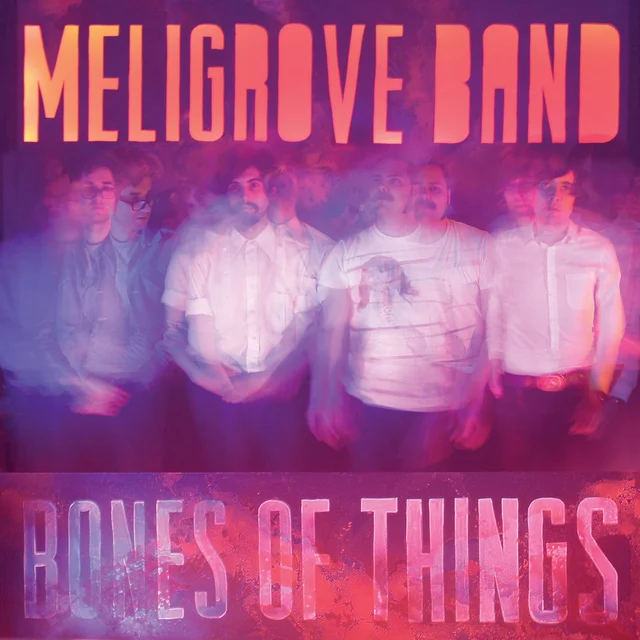Meligrove Band Bones Of Things (LP) 