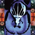 The Age Of Electric Make A Pest A Pet (2LP)