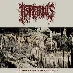 Astriferous Lower Levels Of Sentience (12")