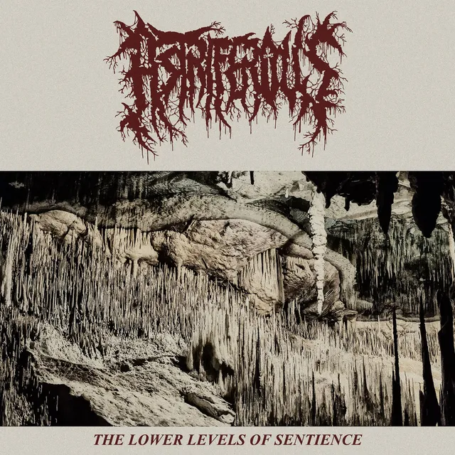Astriferous Lower Levels Of Sentience (12") 