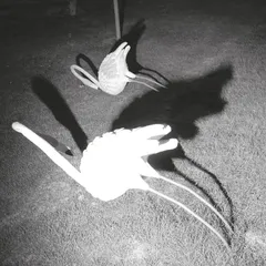 Amini Siavash A Mimesis Of Nothingness (LP)