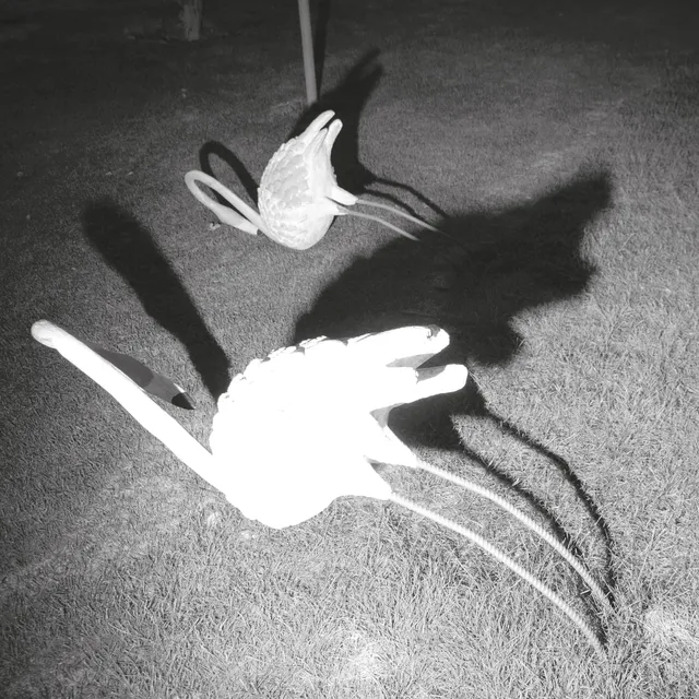 Amini Siavash A Mimesis Of Nothingness (LP) 