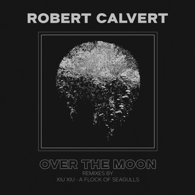 Robert Calvert Over The Moon - Remixes … (7") 