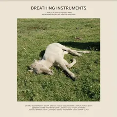 Diverse Artister Breathing Instruments (2LP)