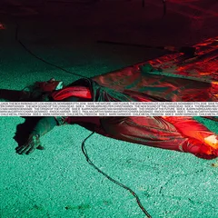 Diverse Artister Save The Nature - Use Fluxus (LP)