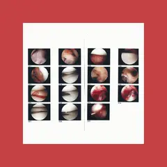 The Cradle Laughing In My Sleep (LP)