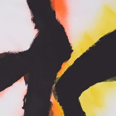 Rob Mazurek &amp; Emmett Kelly Alien Flower Sutra (LP)