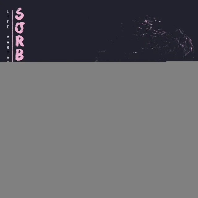 Sorbet Life Variations EP (12") 
