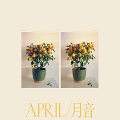 Emmy The Great April (LP)