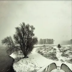 Beequeen Winter (LP)