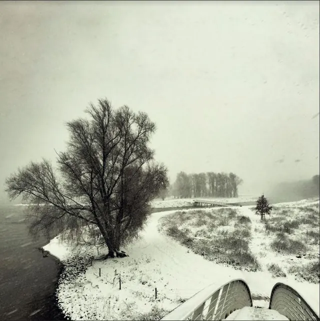 Beequeen Winter (LP) 