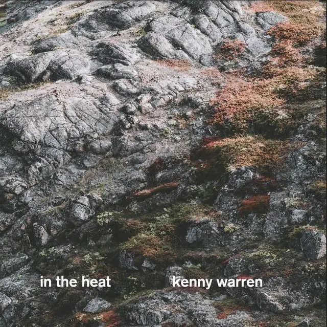 Kenny Warren Trio In The Heat (LP) 