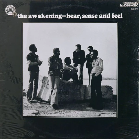 The Awakening Hear, Sense And Feel (Remastered) (LP) 