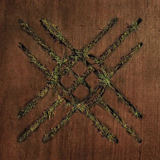 Moon Tooth Violent Grief: Acoustic Selections (LP) 