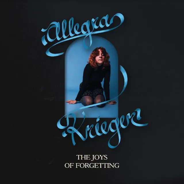 Allerga Krieger The Joys Of Forgetting (LP) 