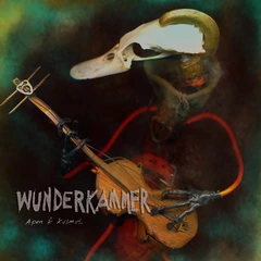 Wunderkammer Apen &amp; Kosmos (LP)