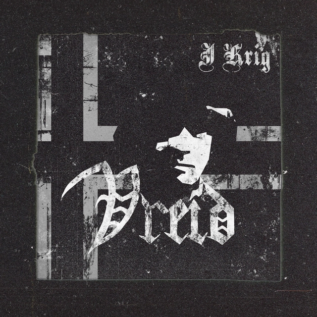Vreid I Krig - LTD (LP) 