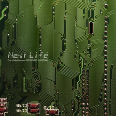 Next Life Guru Meditation (LP)